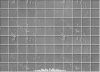 Nom du fichier=Mur00031.jpg
Taille du fichier=168Ko
Dimensions : 640x466
Ajouté le : 22 Août 2006 Mur00031.jpg